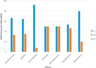 Heavy Metals in Soils and the Remediation Potential of Bacteria Associated With the Plant Microbiome